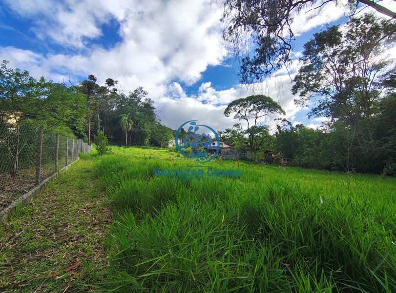 Terreno, 5000 m² - Foto 5