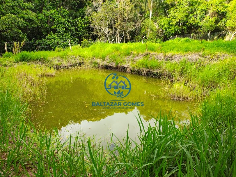 Terreno, 5000 m² - Foto 1