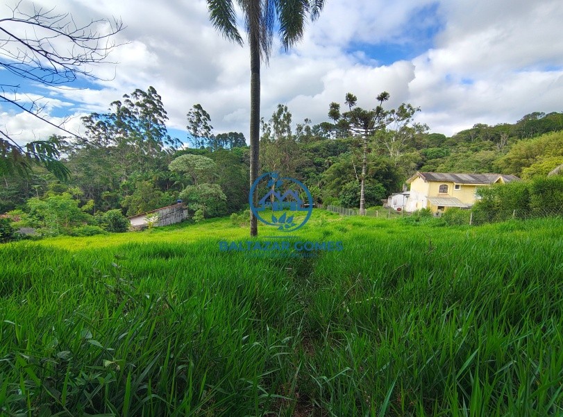 Terreno, 5000 m² - Foto 4