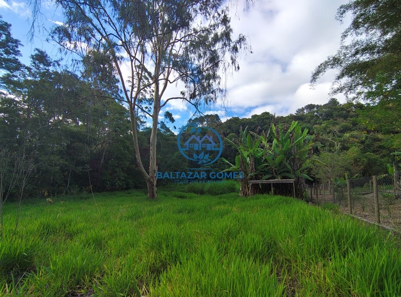 Terreno, 5000 m² - Foto 7