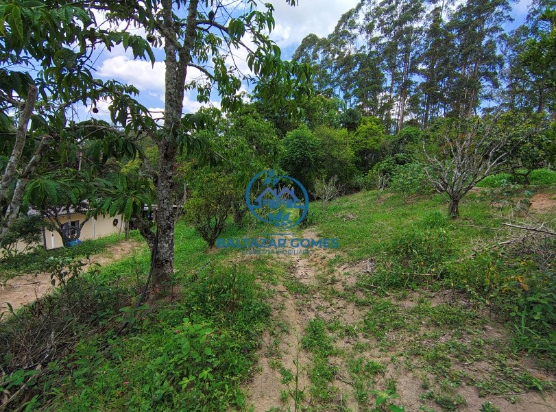 Chácara, 2 quartos, 4400 m² - Foto 10