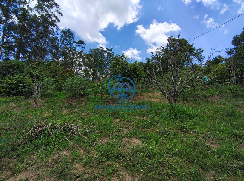 Chácara, 2 quartos, 4400 m² - Foto 11