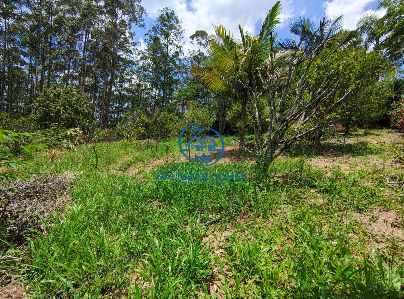 Chácara, 2 quartos, 4400 m² - Foto 12