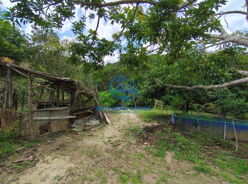 Chácara, 2 quartos, 4400 m² - Foto 15