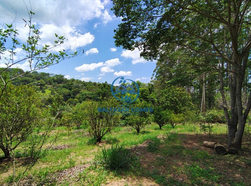 Chácara, 2 quartos, 4400 m² - Foto 14