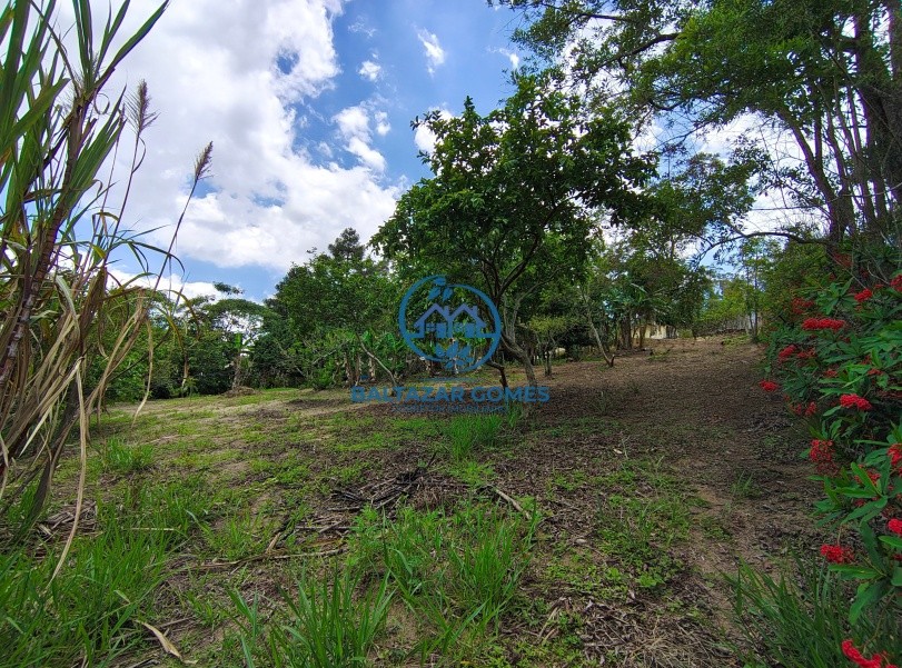 Chácara, 2 quartos, 4400 m² - Foto 18