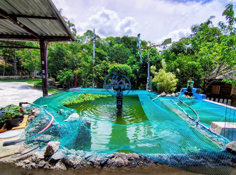 Chácara, 2 quartos, 1485 m² - Foto 2