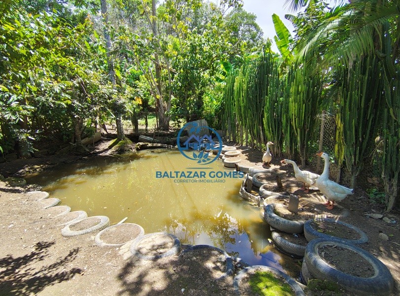 Chácara, 2 quartos, 1485 m² - Foto 16