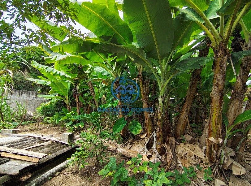 Chácara, 2 quartos, 788 m² - Foto 22