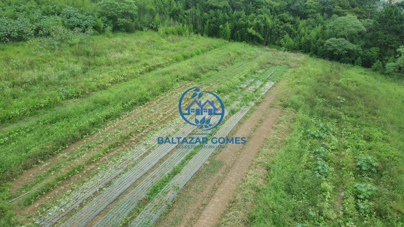Fazenda, 2 hectares - Foto 3