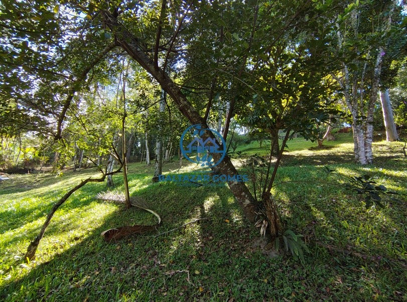 Fazenda, 3790 m² - Foto 24
