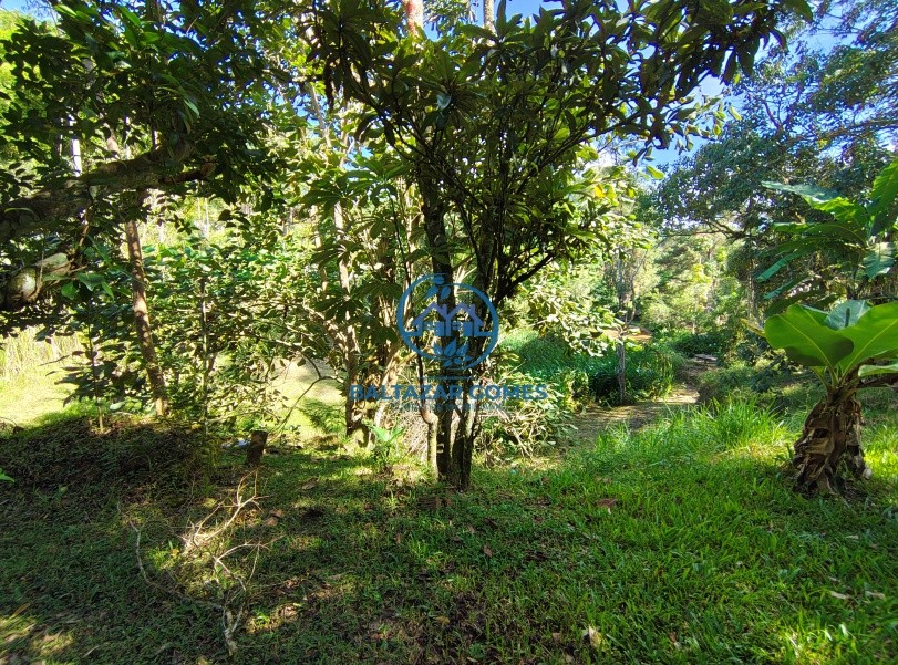 Fazenda, 3790 m² - Foto 25