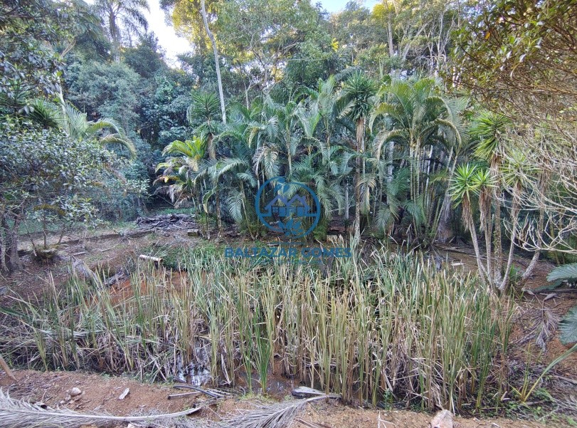 Fazenda, 2420 m² - Foto 21