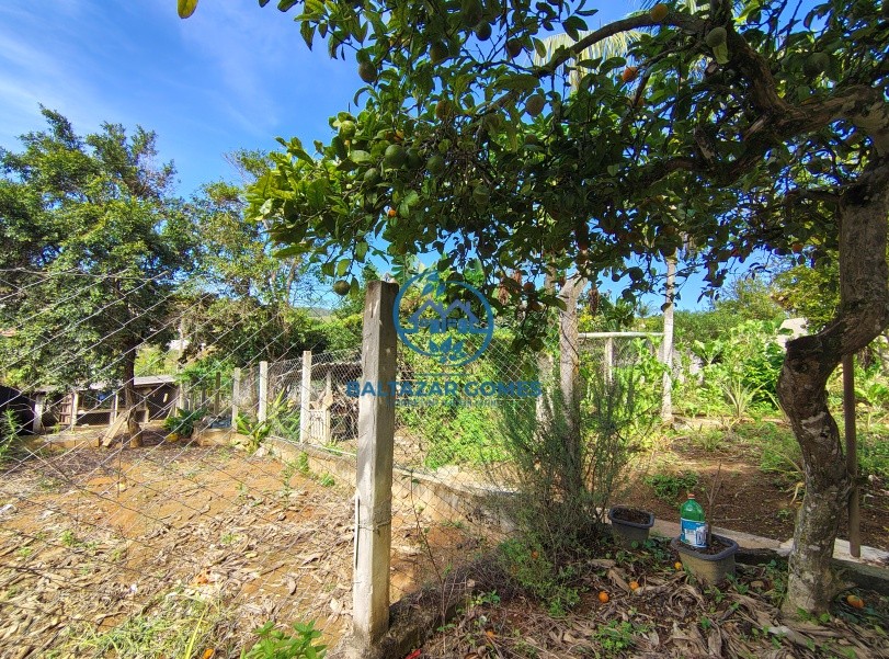 Chácara, 4 quartos, 1000 m² - Foto 15