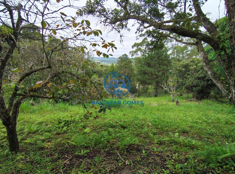 Fazenda, 2800 m² - Foto 8