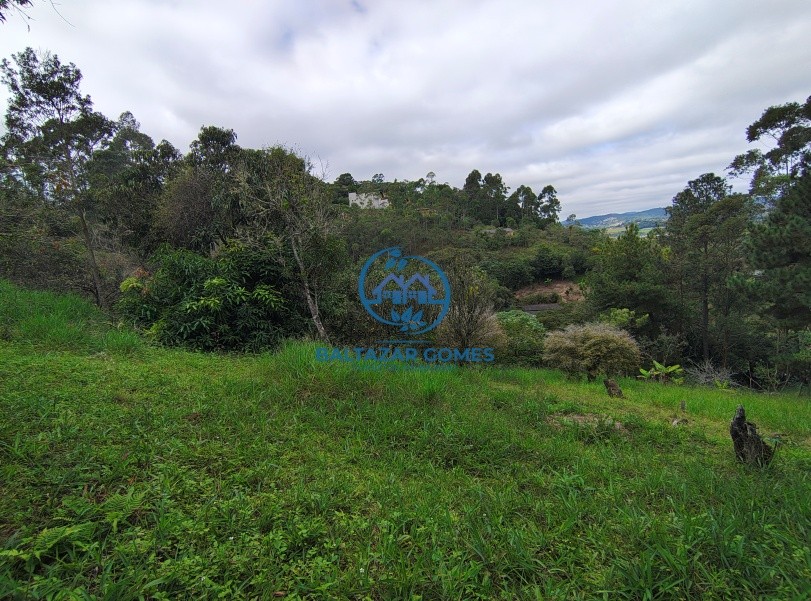 Fazenda, 2800 m² - Foto 9
