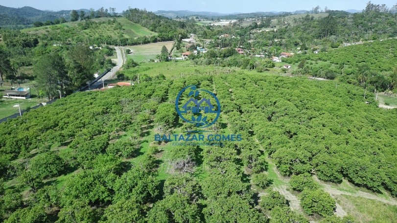 Fazenda, 6 m² - Foto 4