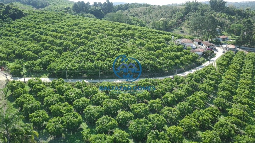 Fazenda, 6 m² - Foto 3