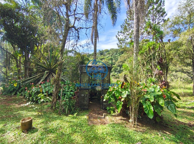 Sítio, 4 quartos, 8 hectares - Foto 27