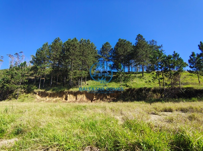 Terreno, 2 hectares - Foto 1