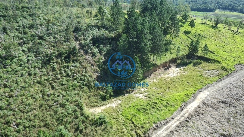 Terreno, 2 hectares - Foto 3