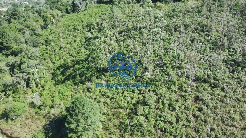 Terreno, 2 hectares - Foto 2