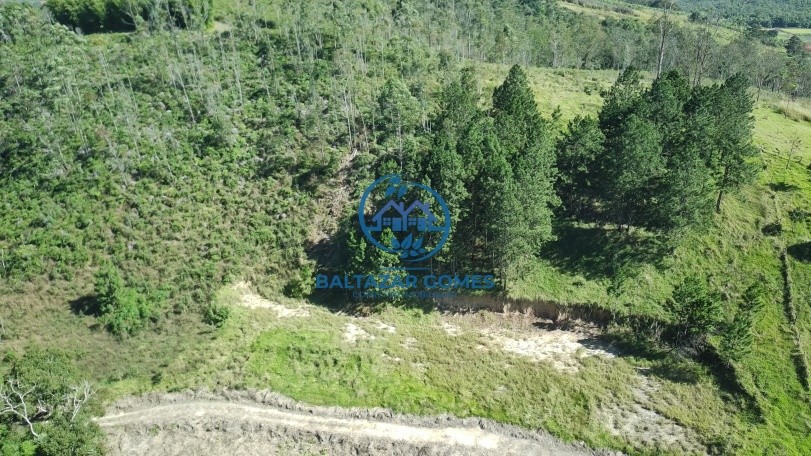 Terreno, 2 hectares - Foto 4