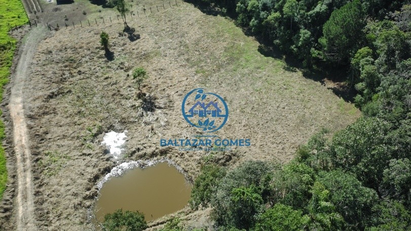 Terreno, 2 hectares - Foto 4