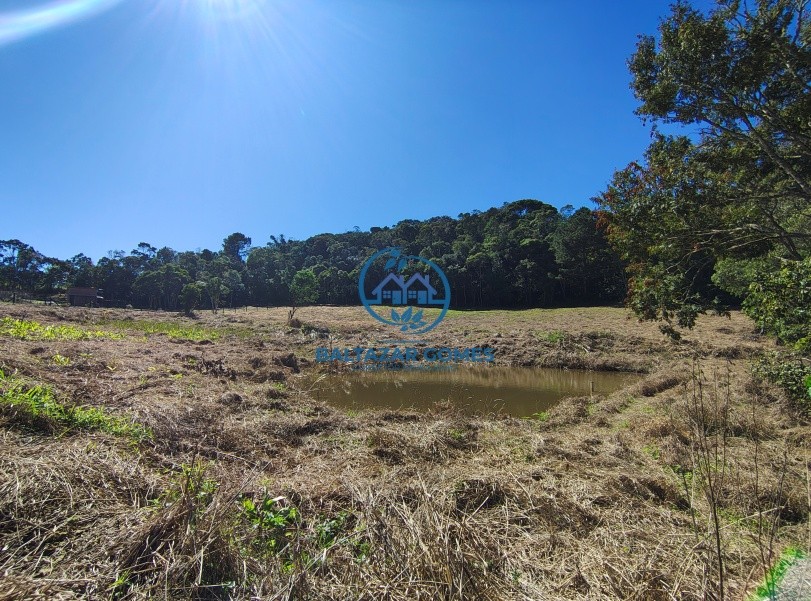 Terreno, 2 hectares - Foto 1