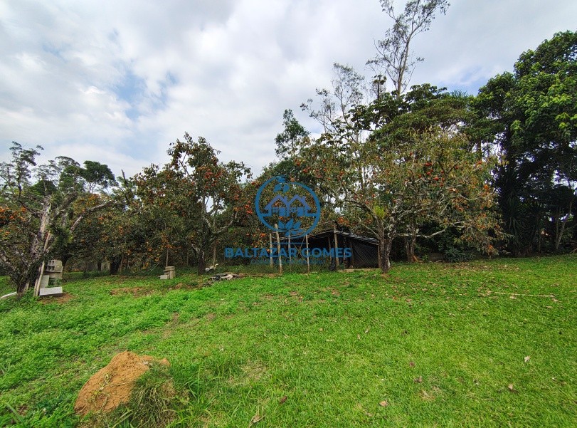 Chácara, 3 quartos, 2 hectares - Foto 21