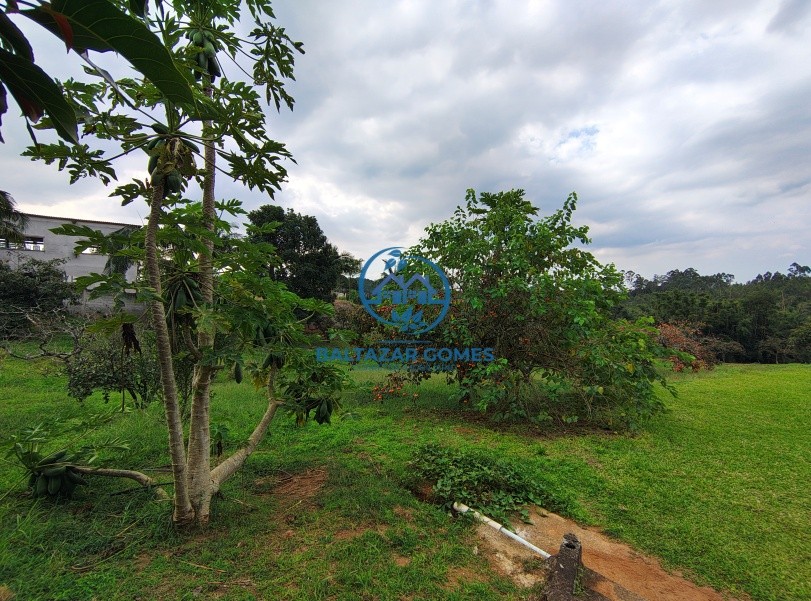 Chácara, 3 quartos, 2 hectares - Foto 19