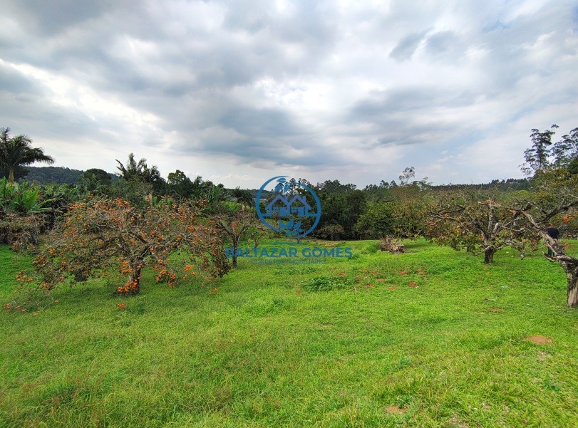 Chácara, 3 quartos, 2 hectares - Foto 20