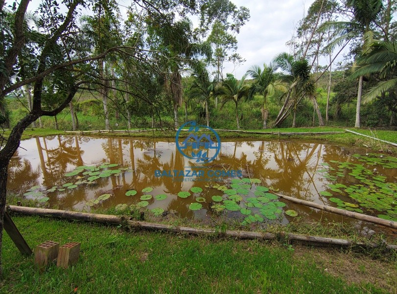 Chácara, 3 quartos, 2 hectares - Foto 22