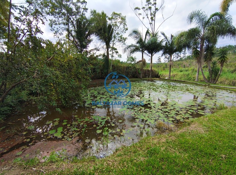 Chácara, 3 quartos, 2 hectares - Foto 23