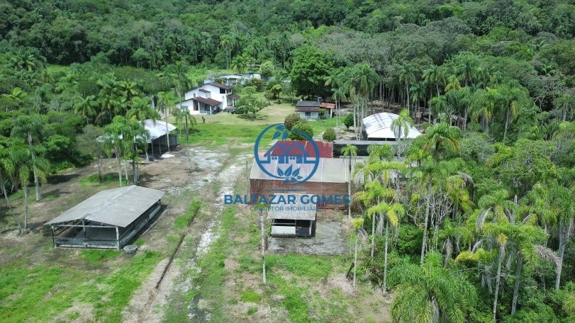 Fazenda, 2 hectares - Foto 4