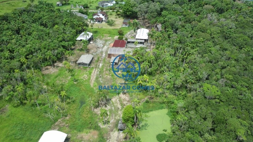 Fazenda, 2 hectares - Foto 3
