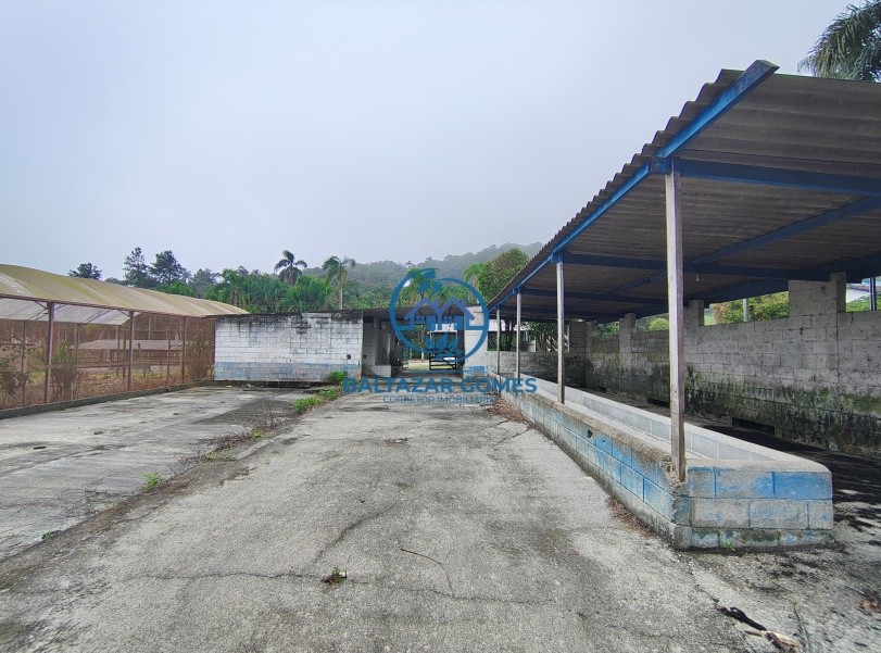 Fazenda, 2 hectares - Foto 11