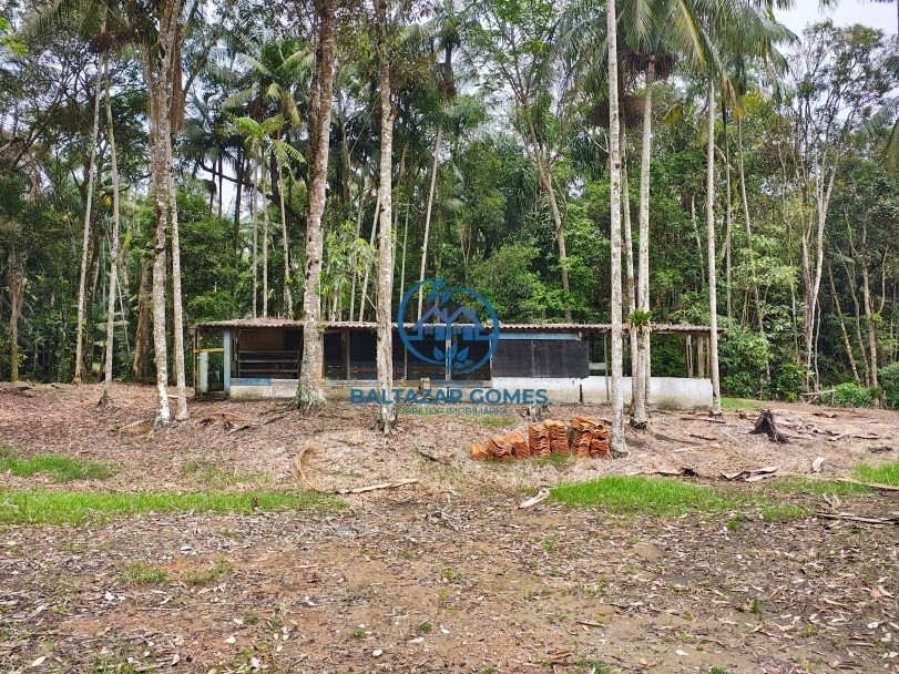 Fazenda, 2 hectares - Foto 22