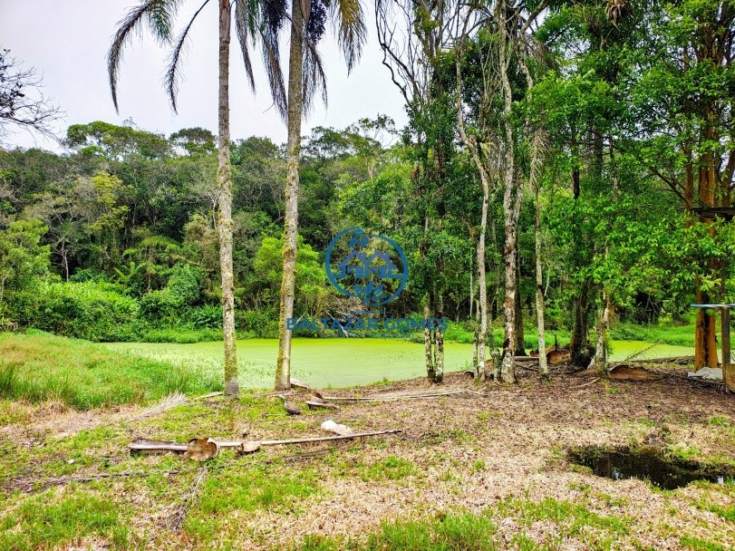 Fazenda, 2 hectares - Foto 19